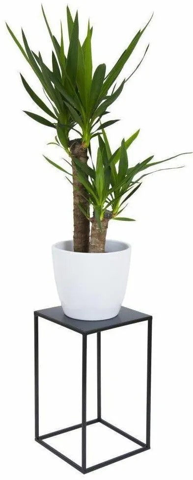 Virágállvány 40x24 cm fekete