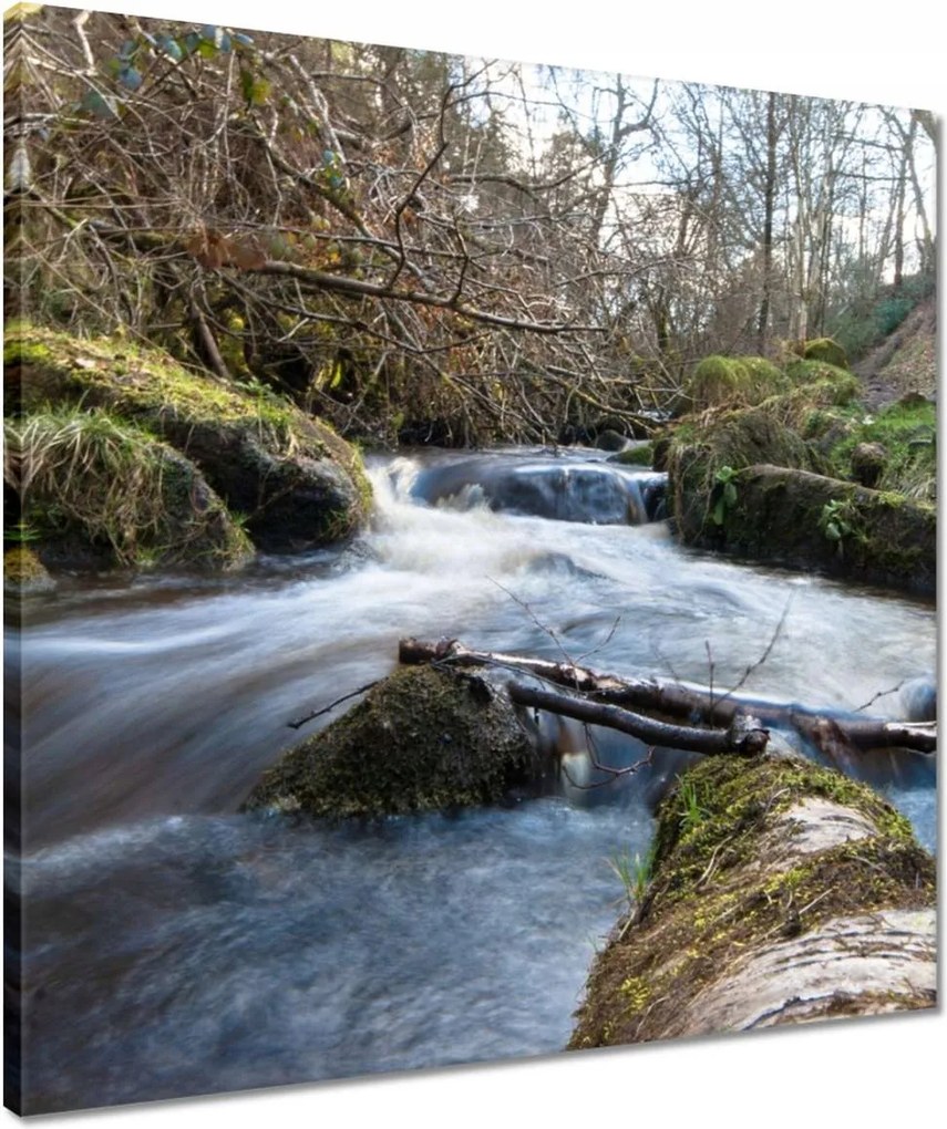 Vászonkép 50x50 Okos hegyi folyó