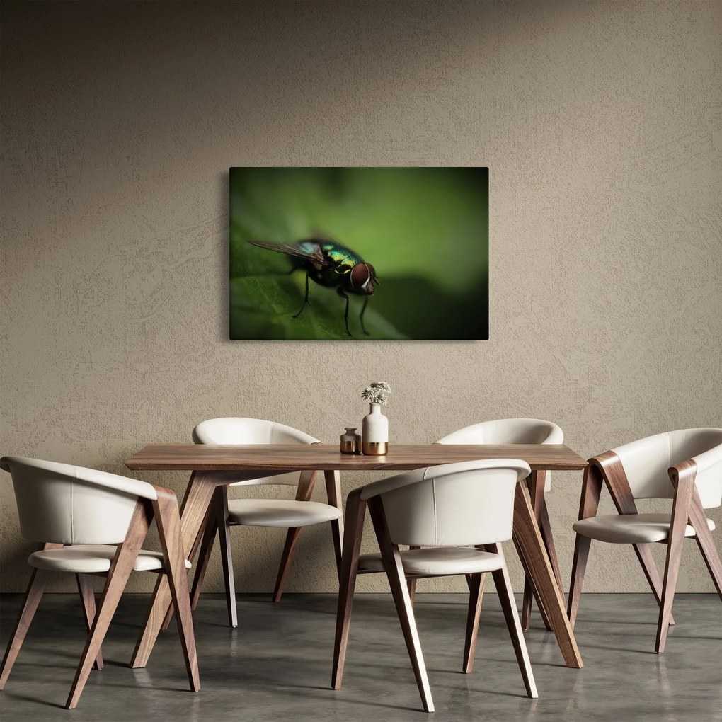 Kép - Légy (90x60 cm)