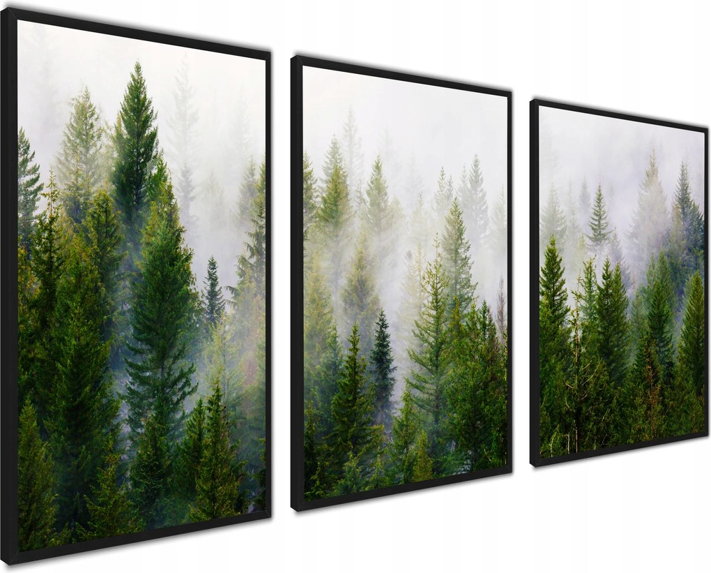Plakátok keretben, modern képek Nagy erdő köd