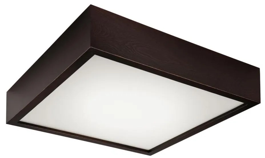 Mennyezeti lámpa 2xE27/60W/230V