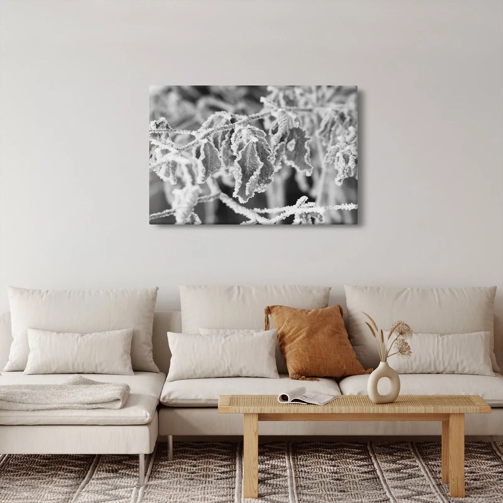 Kép - Fagyott levelek, fekete-fehér (90x60 cm)