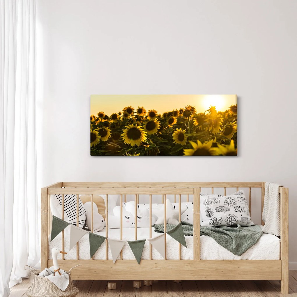 A napraforgó mező képe (120x50 cm)