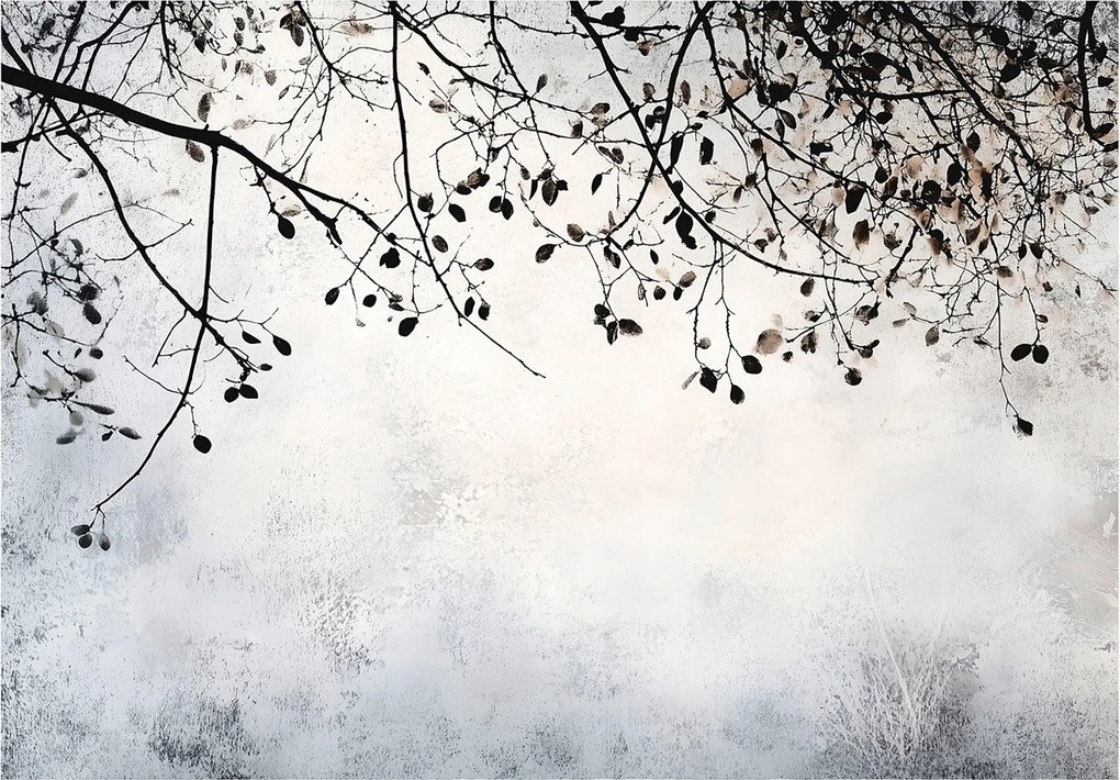 Fotótapéta Ágak Beton Fa Hálószoba Nappali Tapéta Flizelina 250x175