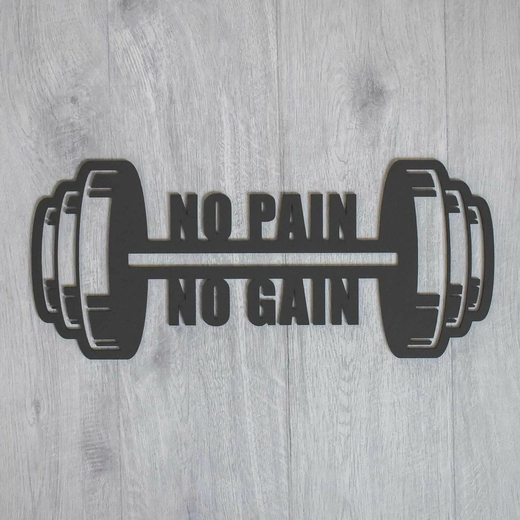 Motivációs idézet az edzésről - No Pain, No Gain