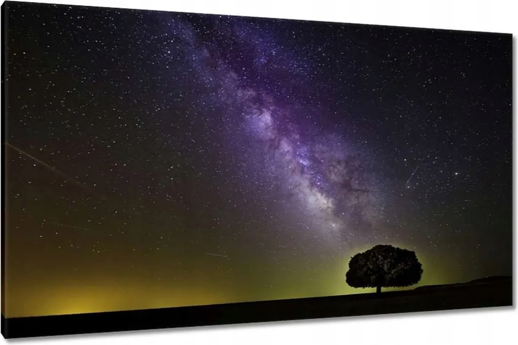 Vászonkép 120x70 Csillagos éj