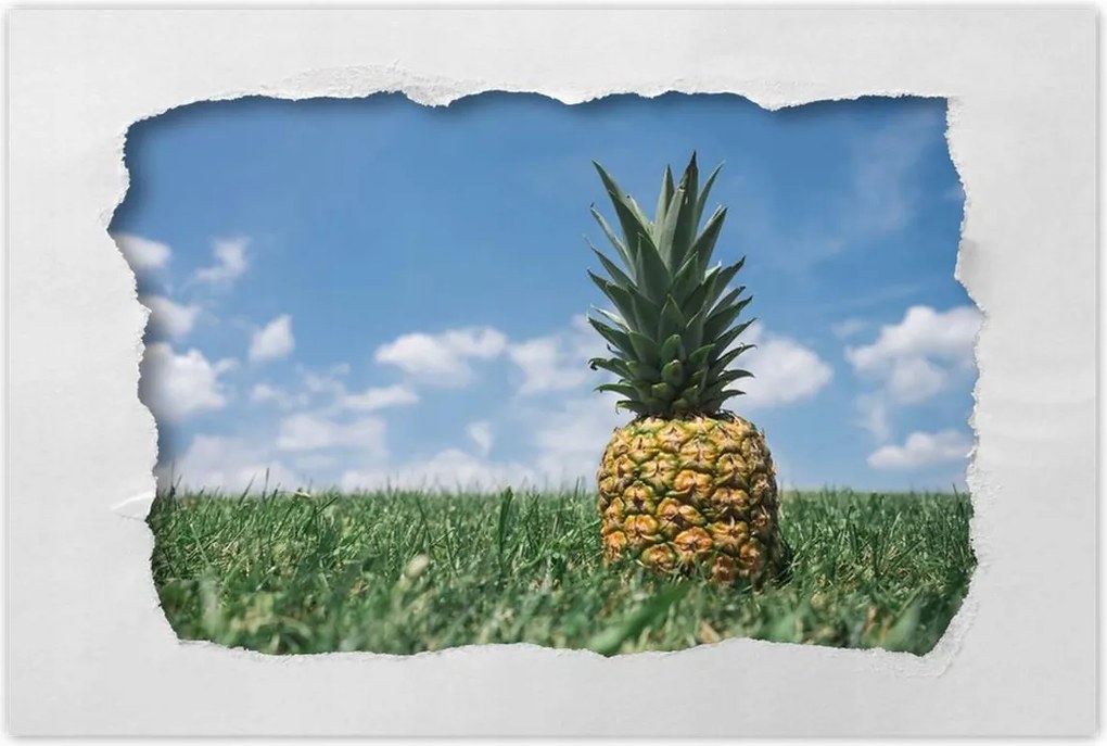 Poszterek 120x80 Ananász tájkép