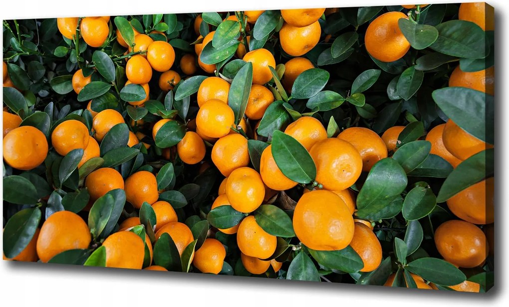 Canvas falikép Mandarin 100x70 cm