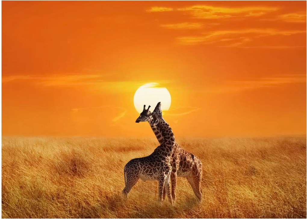 Üveg kép - Zsiráfok a Serengeti Nemzeti Parkban (70x50 cm)