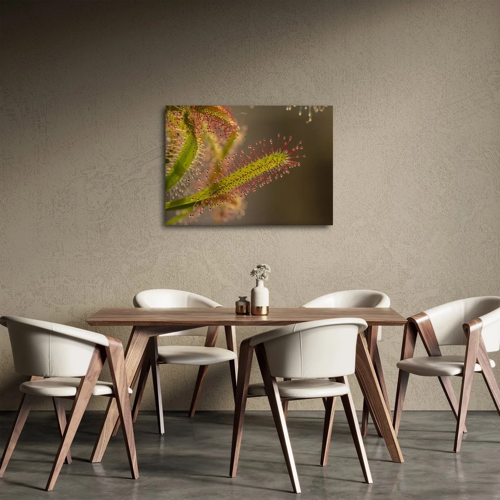 A növény képe (70x50 cm)