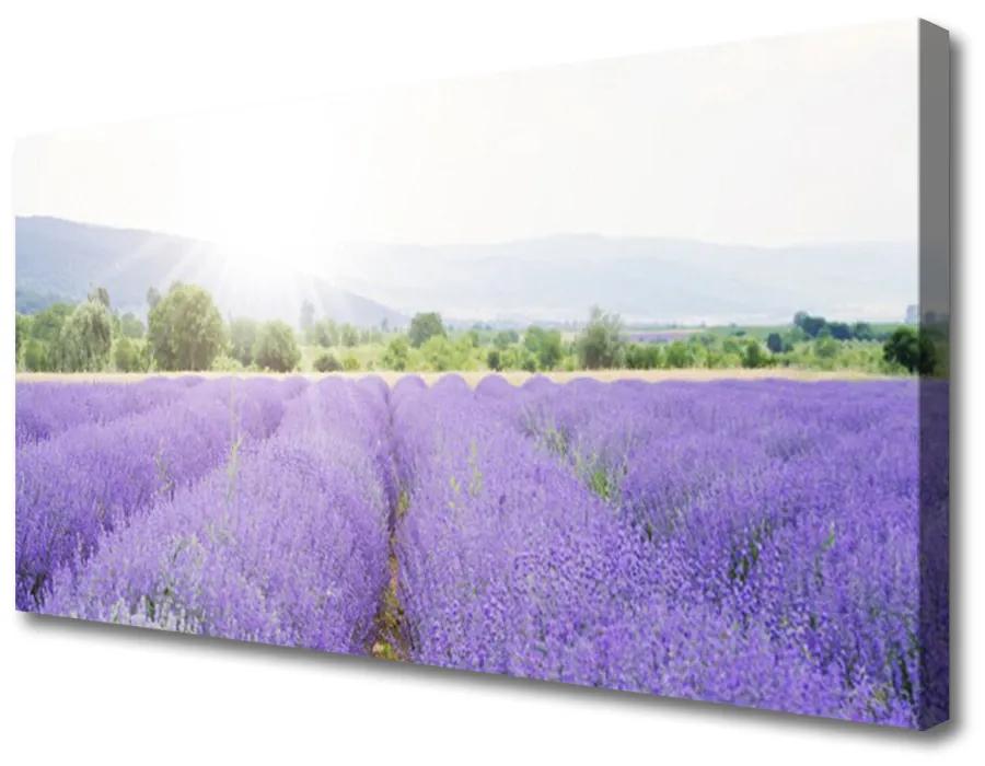 Vászonkép Lavender Field Mező Természet 140x70 cm