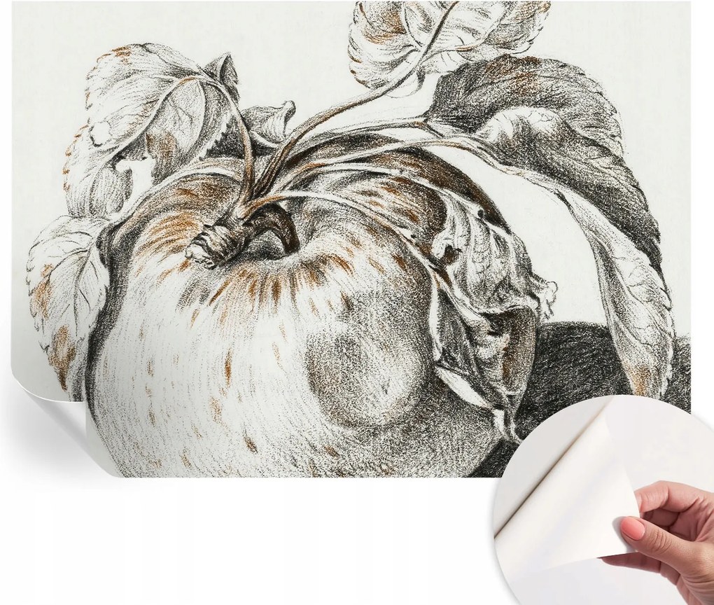 Dekoratív öntapadós fotótapéta irodába Alma levelek 208x146 cm