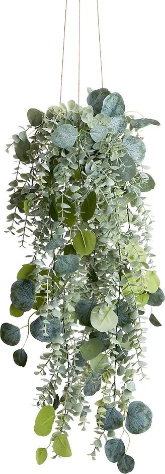 FLORISTA eukaliptusz mix felakasztható cserépben 65 cm
