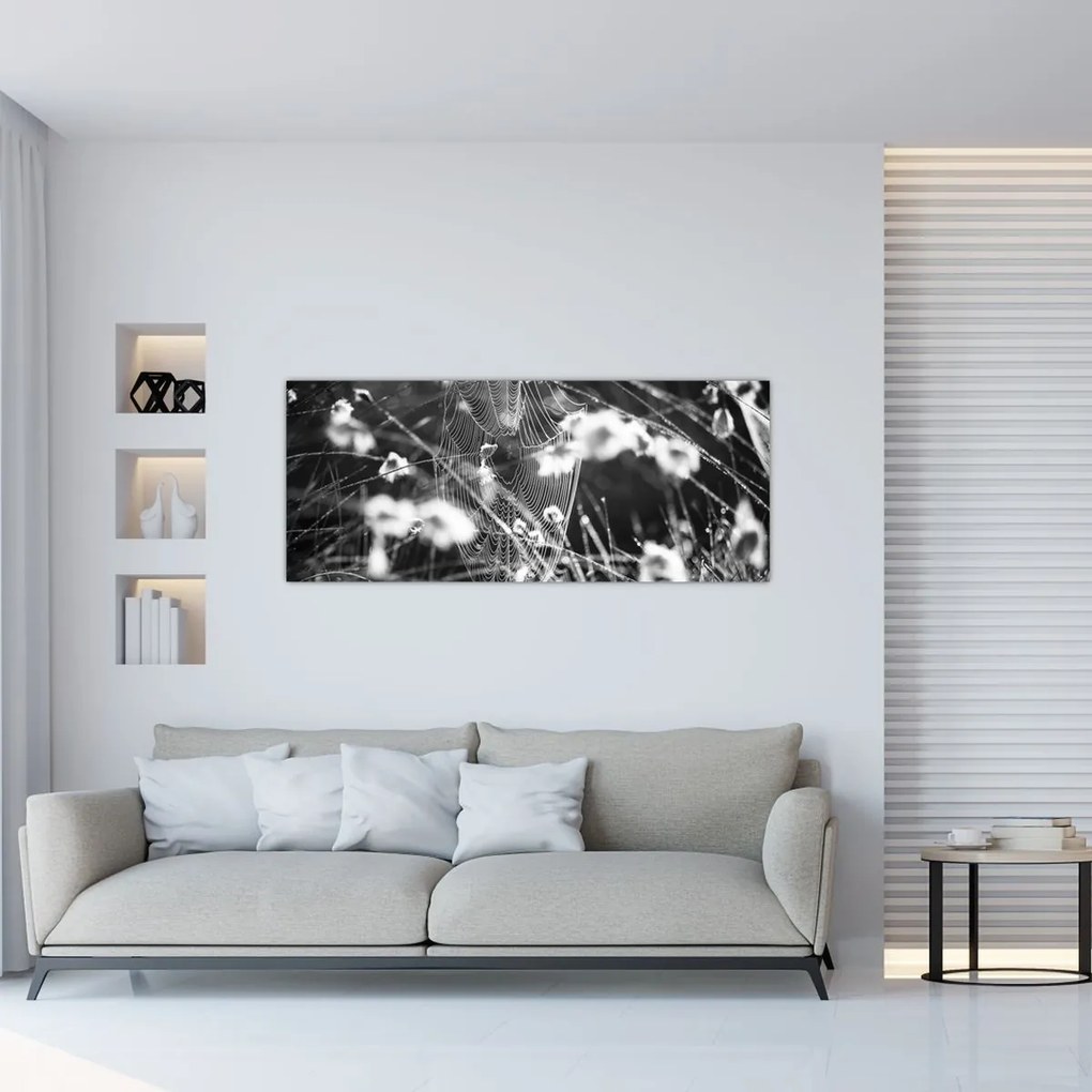 Kép - Pókháló a réten (120x50 cm)