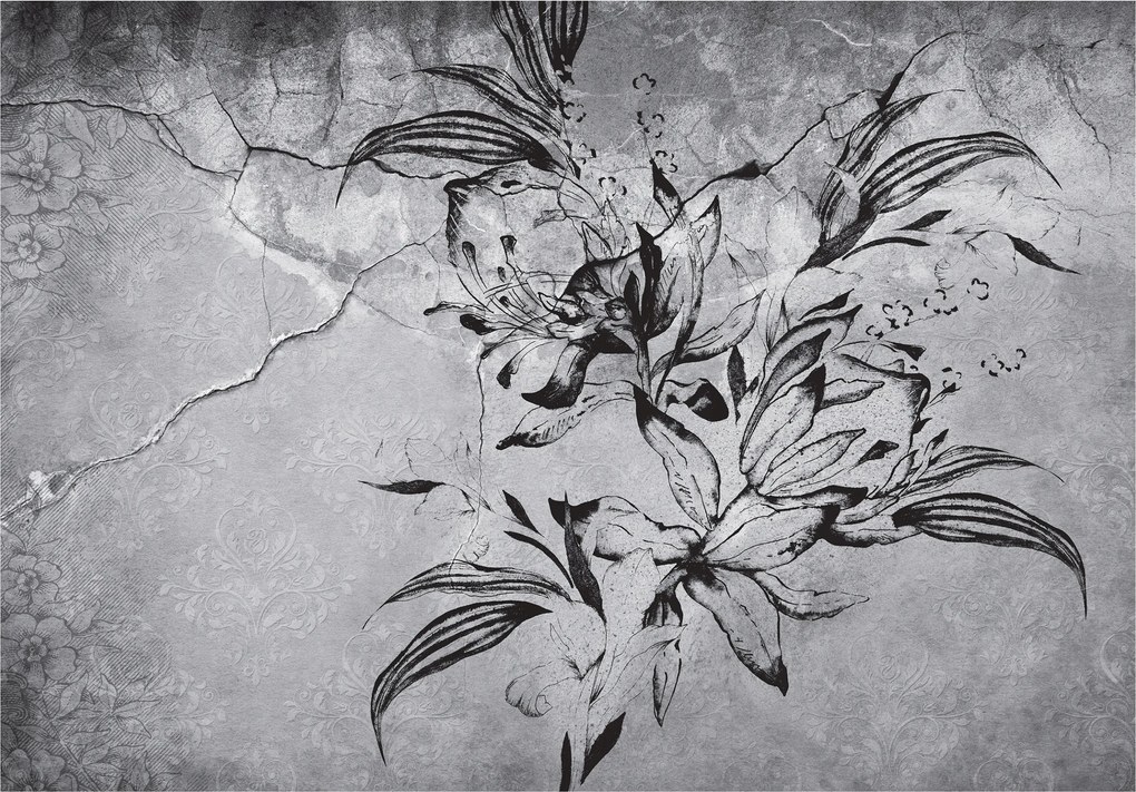 Fotótapéta Liliom Íriszek grafika fekete-fehér vinil textúra 368x254 +ragasztó