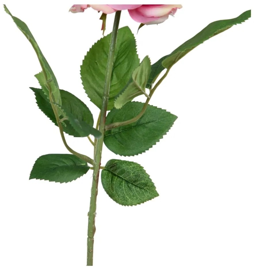 Művirág (magasság 43 cm) Rose – Ixia