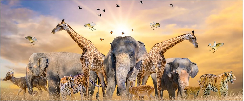 Kép - Afrikai állatok (120x50 cm)