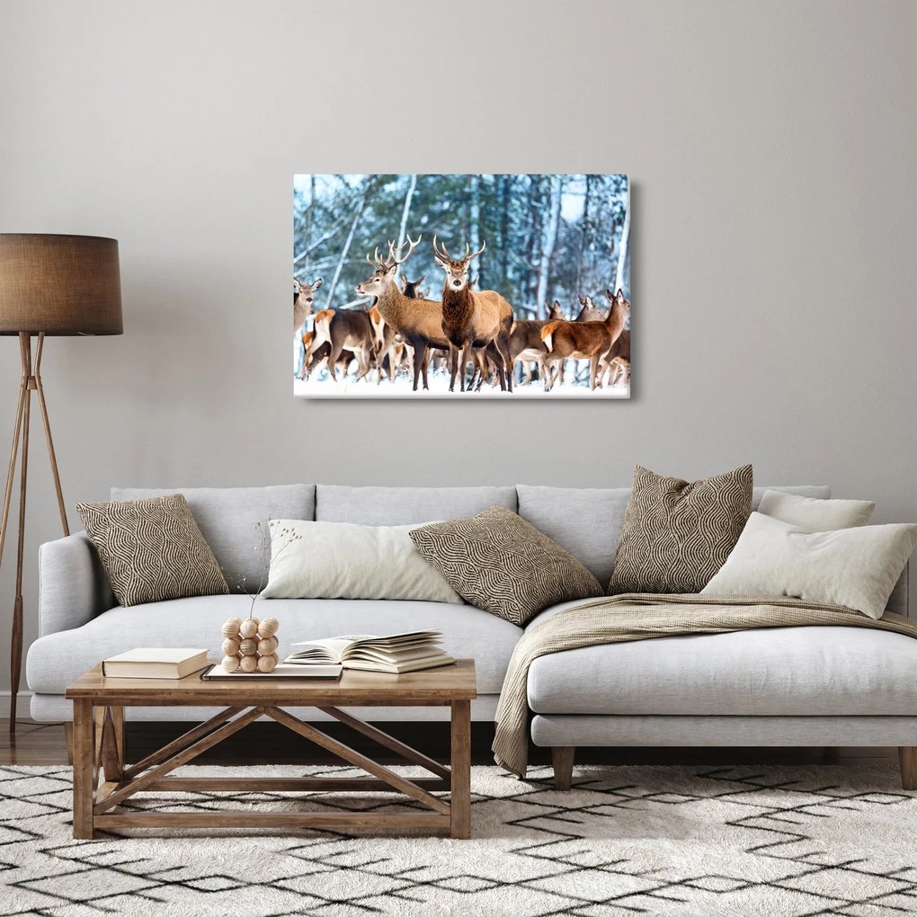 Kép - Szarvas csorda (90x60 cm)