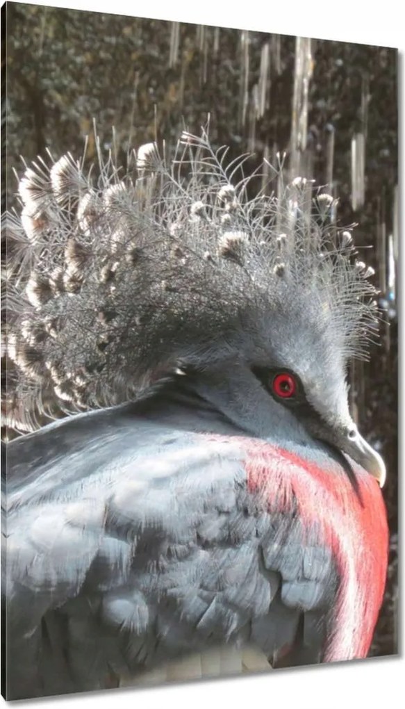 Vászonkép 80x120 Színes madár