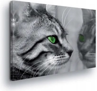 Vászonkép 60x40 Macska szemek zöld szemek fekete-fehér fotó