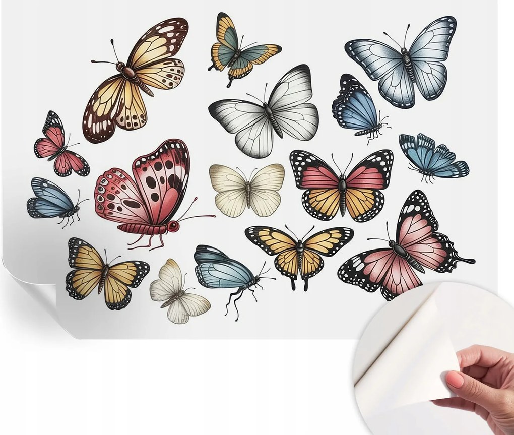 Öntapadós Fali Fotótapéta Hálószobába Paradicsom pillangók 152x104 cm