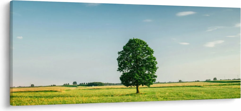Egy fa képe egy rét közepén (120x50 cm)