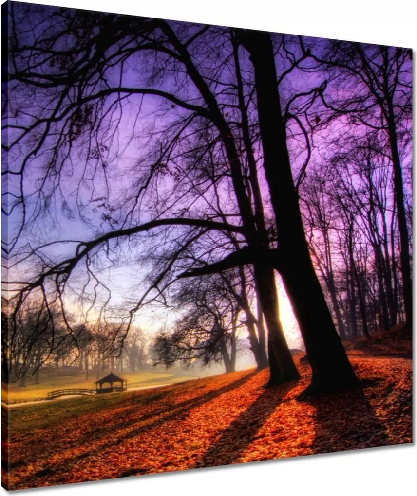 Vászonkép 60x60 Bajusz park