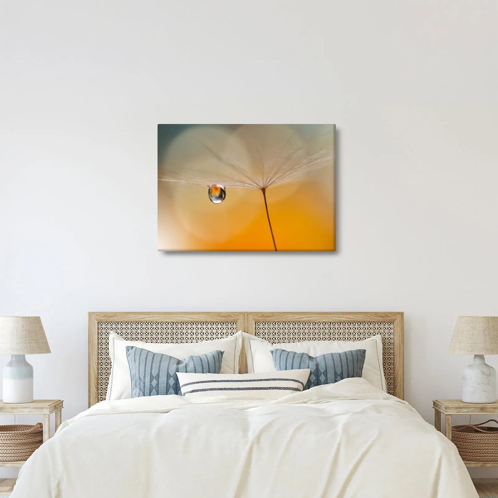 Kép - Makró virág (70x50 cm)
