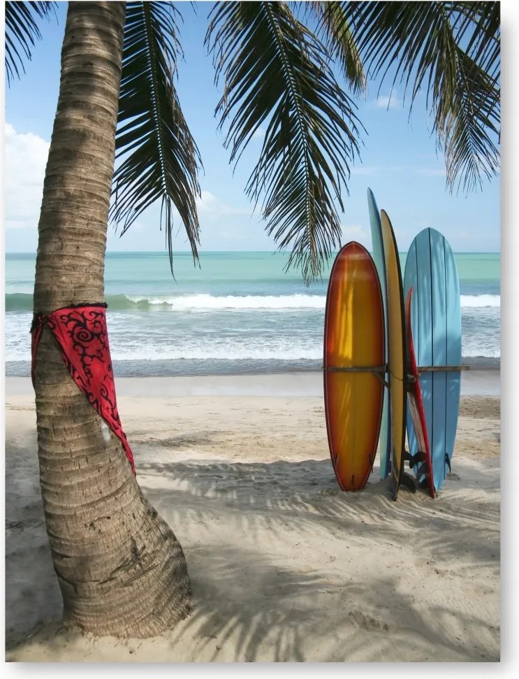Tengerpart Pálma Szörf Poszter kép 30x40cm #118