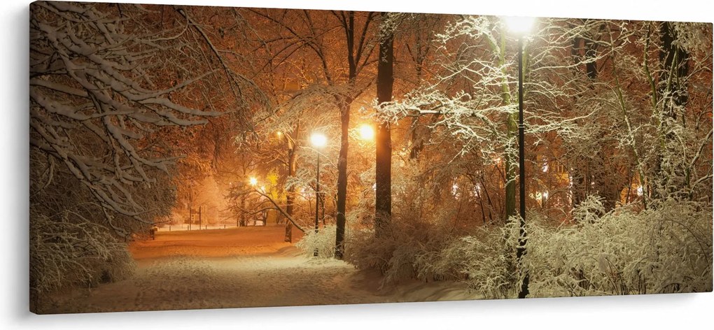 Kép - havas park (120x50 cm)