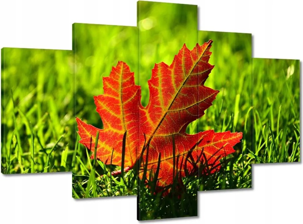 Képek 150x105 Őszi levél a fűben