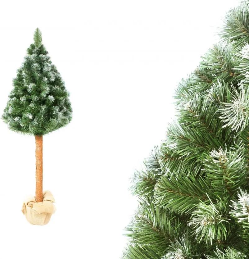 Karácsonyfa tönkön - Erdeifenyő 160 cm Luxury