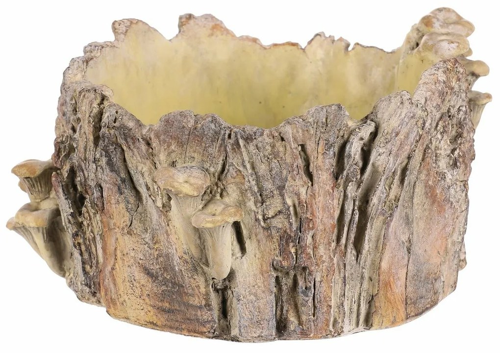Beton burkolat - tusk with mushrooms, 32 x 29 x 16cm