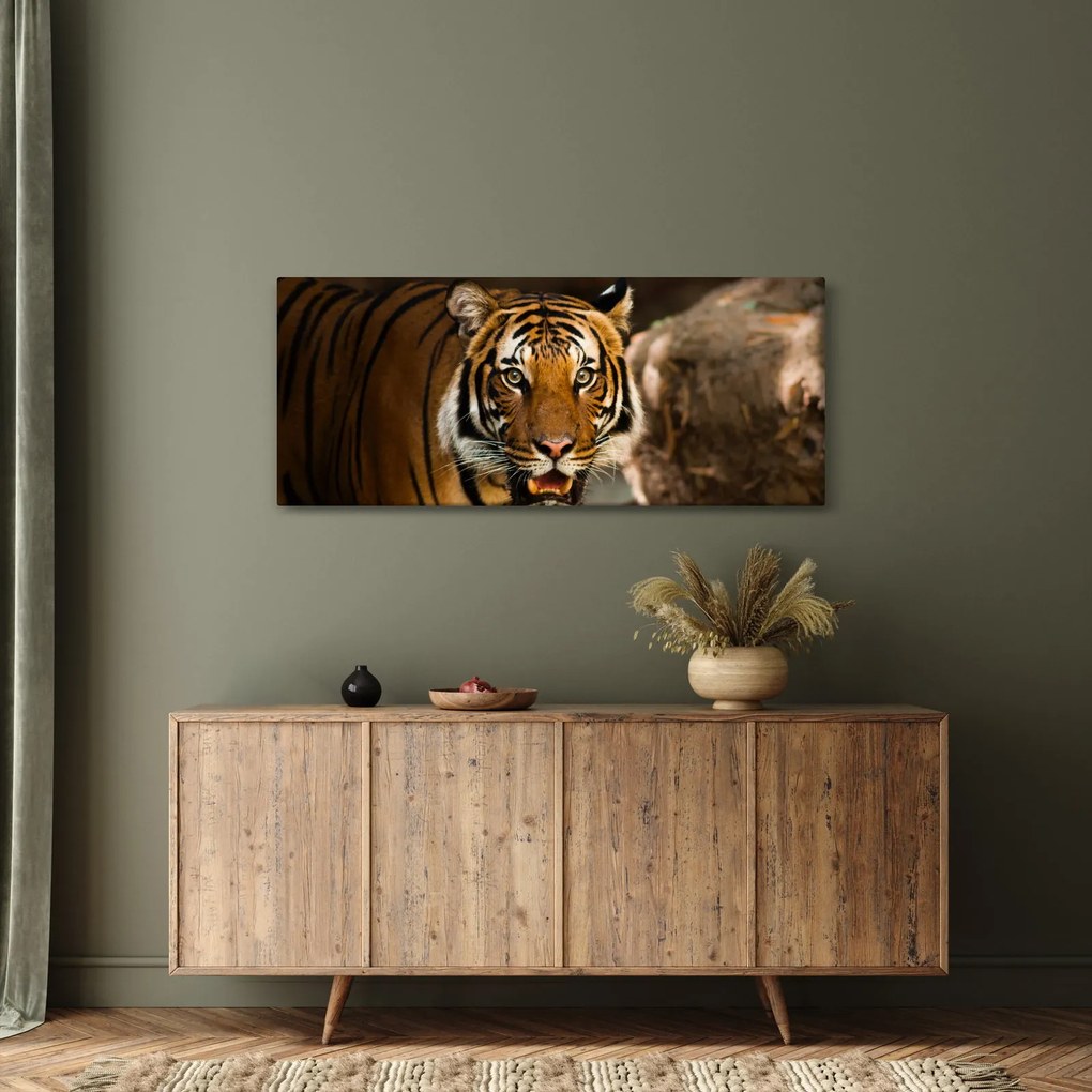 Tigris képe (120x50 cm)