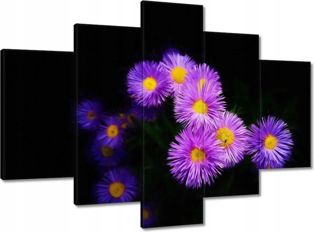 Vászonkép 150x105 Lila őszirózsa virágok