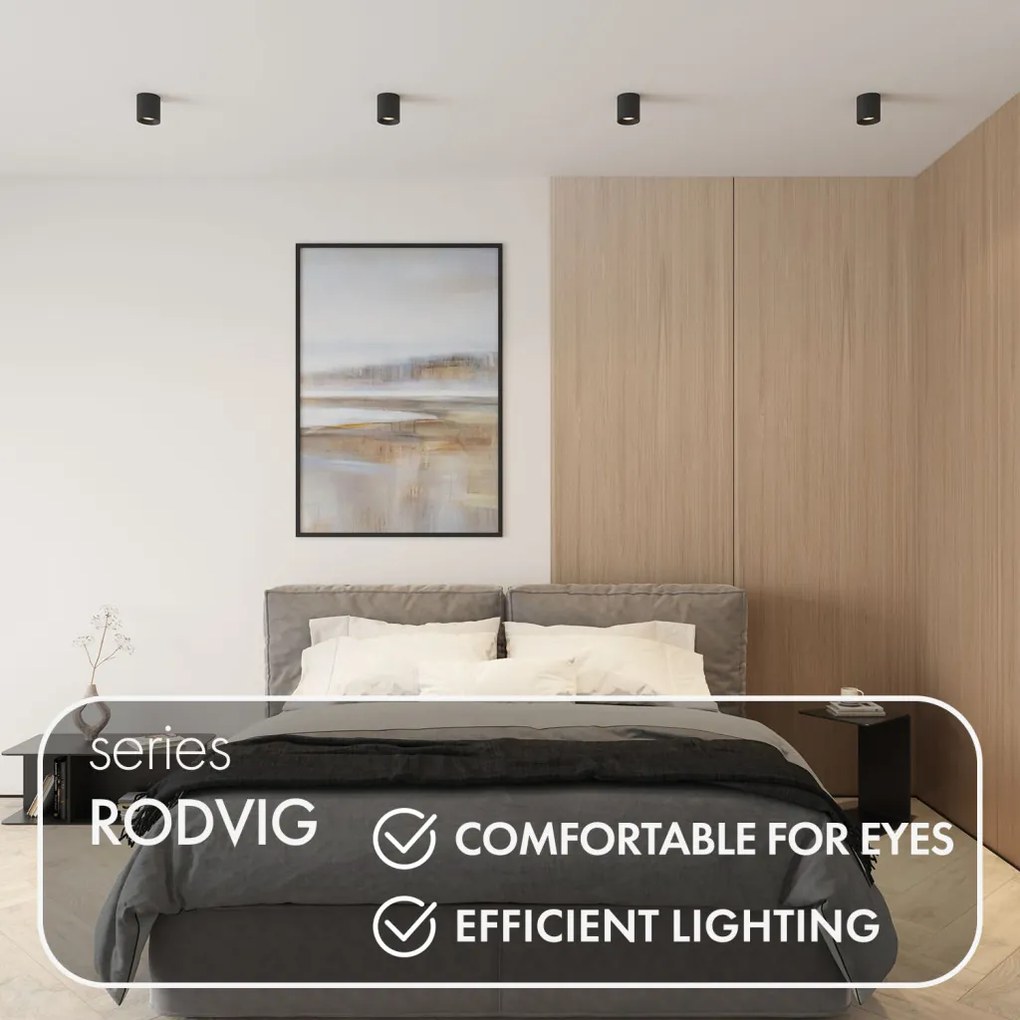 Rodvig series surface mounted ceiling downlight — DK/EU-3090-BK