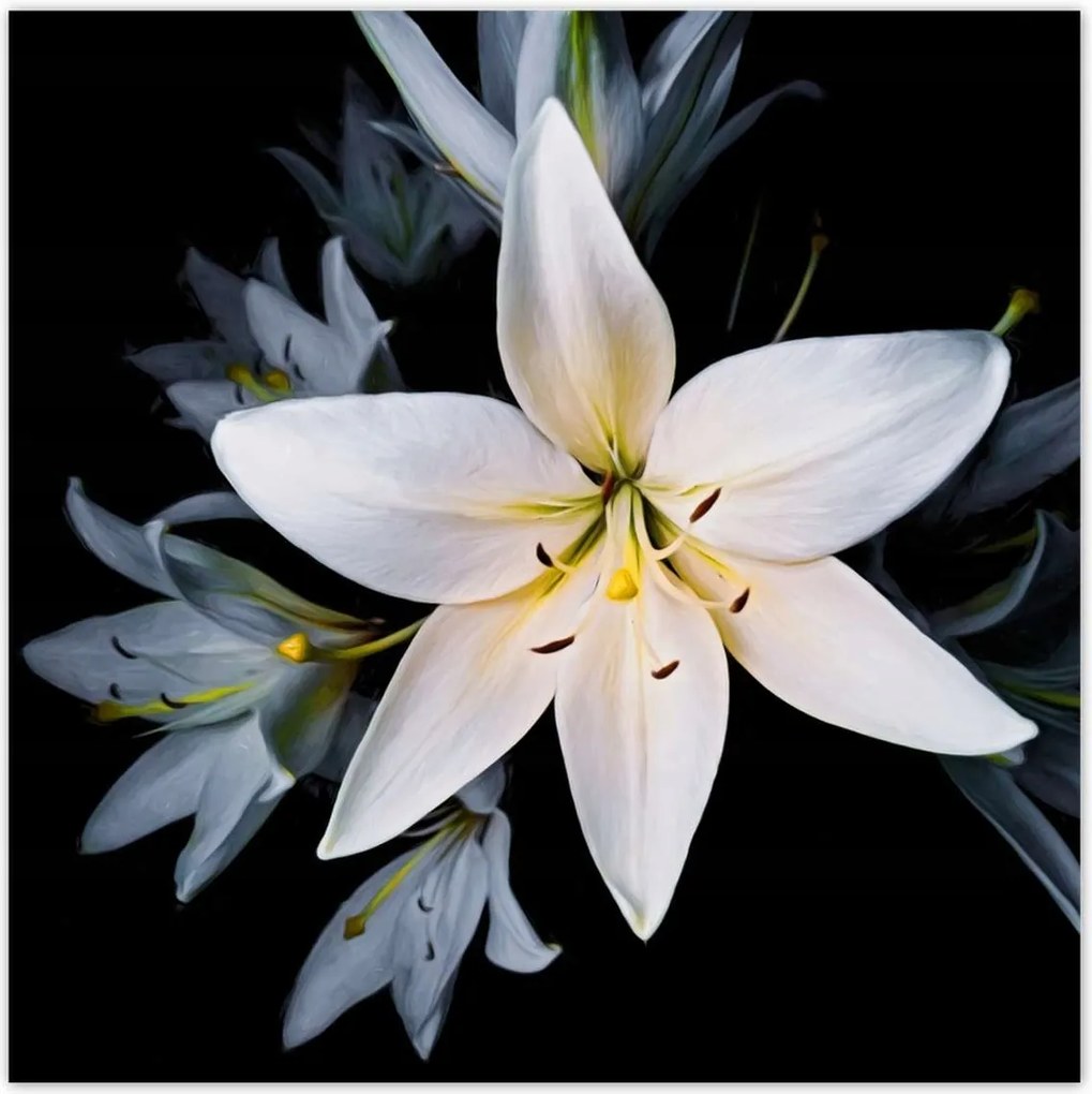 Poszterek 140x140 Fehér liliom csokor Virág