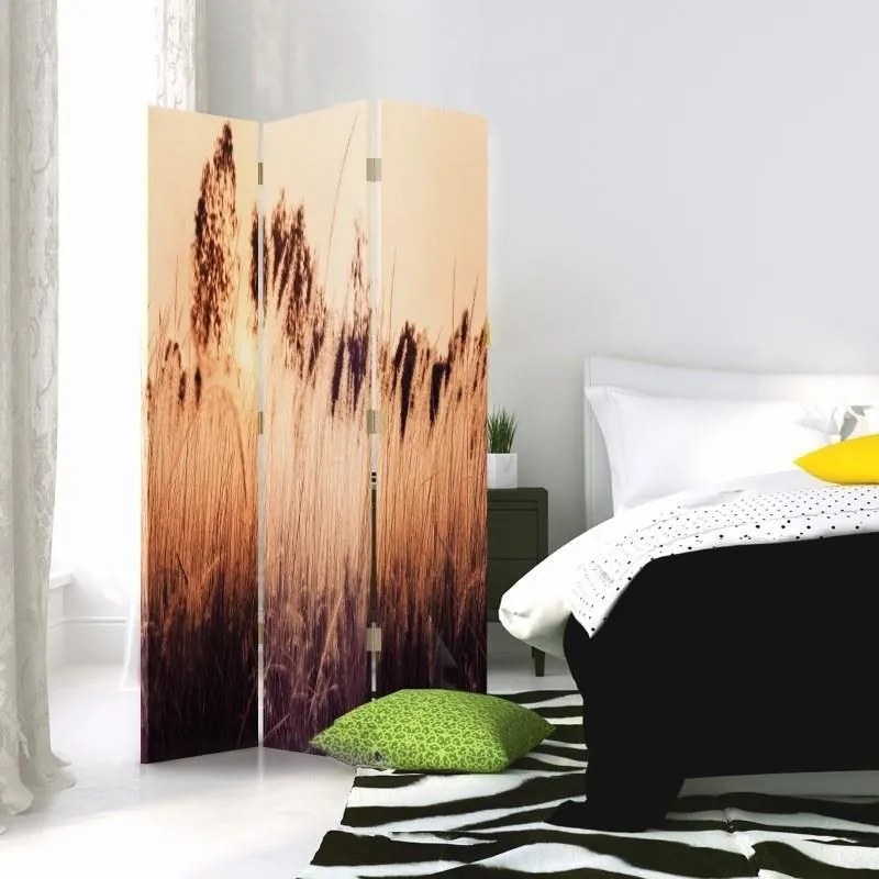 Gario Paraván Magas füvek szepia színben Méret: 145 x 170 cm, Kivitelezés: Forgó paraván 360°