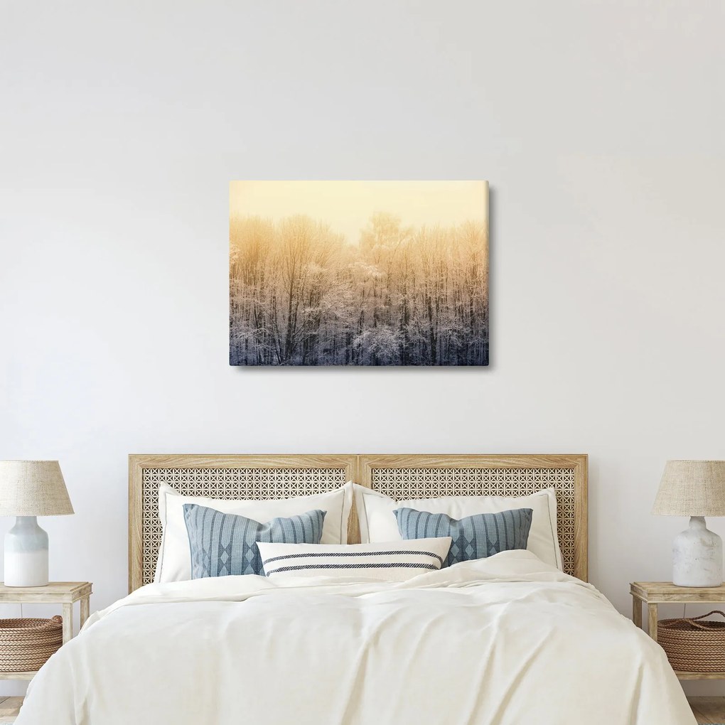 Fagyos erdő képe (70x50 cm)