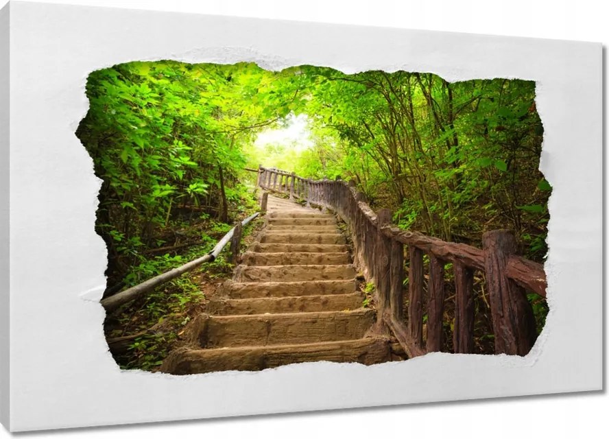Vászonkép 60x40 Lépcsők az erdőbe