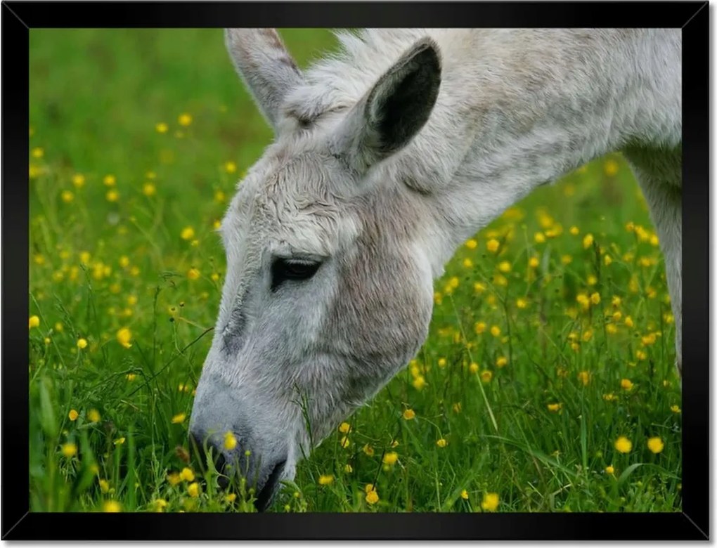 Poszterek keretben 40x30 Dardanellák szamara