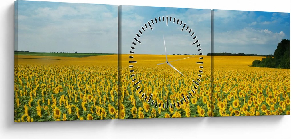 Kép - napraforgó (órával) (90x30 cm)