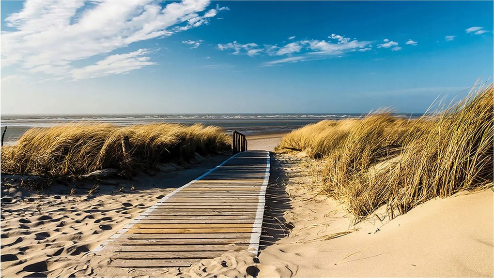 Fotótapéta Út a tengerhez dűnék vinil homok 208x146 +ragasztó