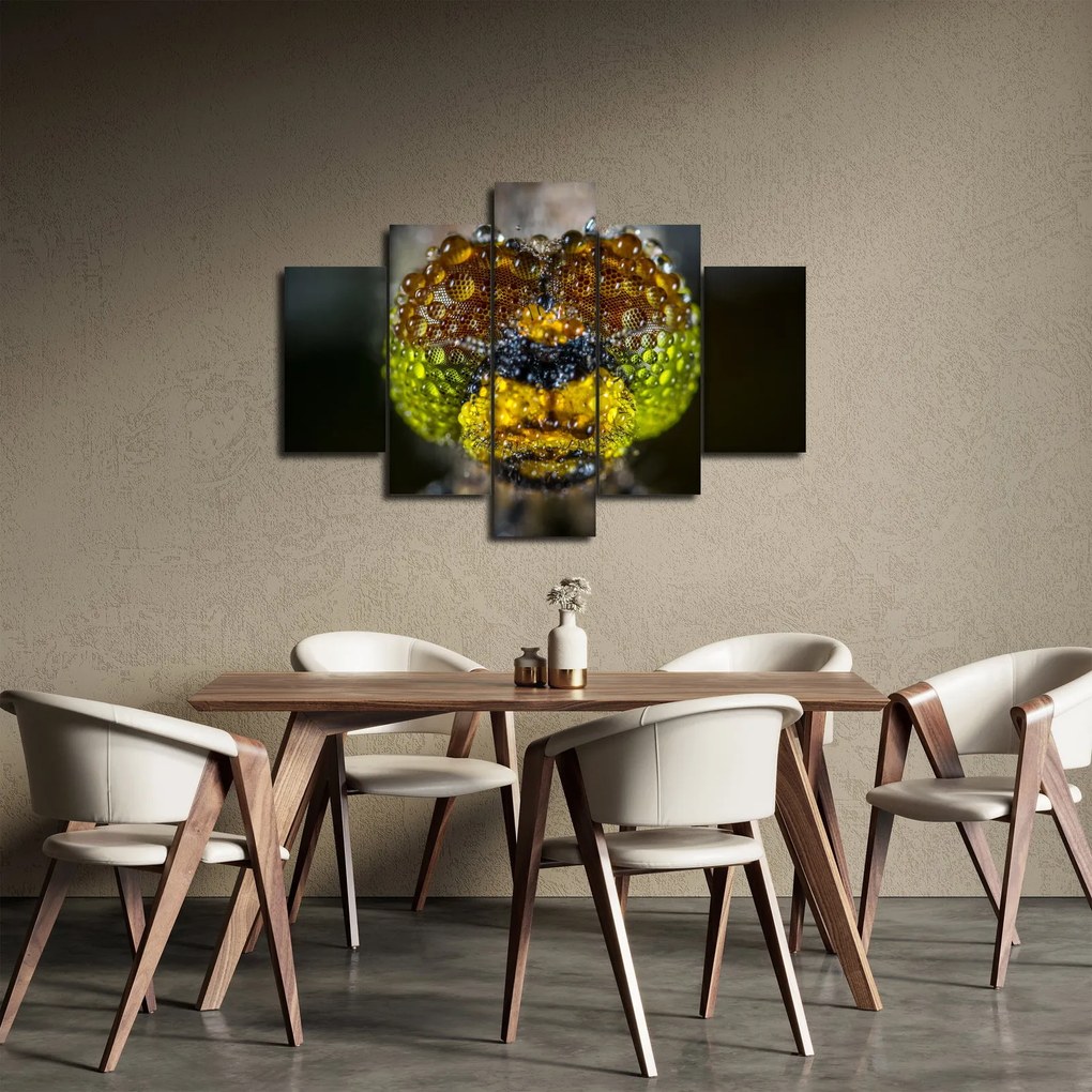 Részletes kép a rovar szemről (150x105 cm)