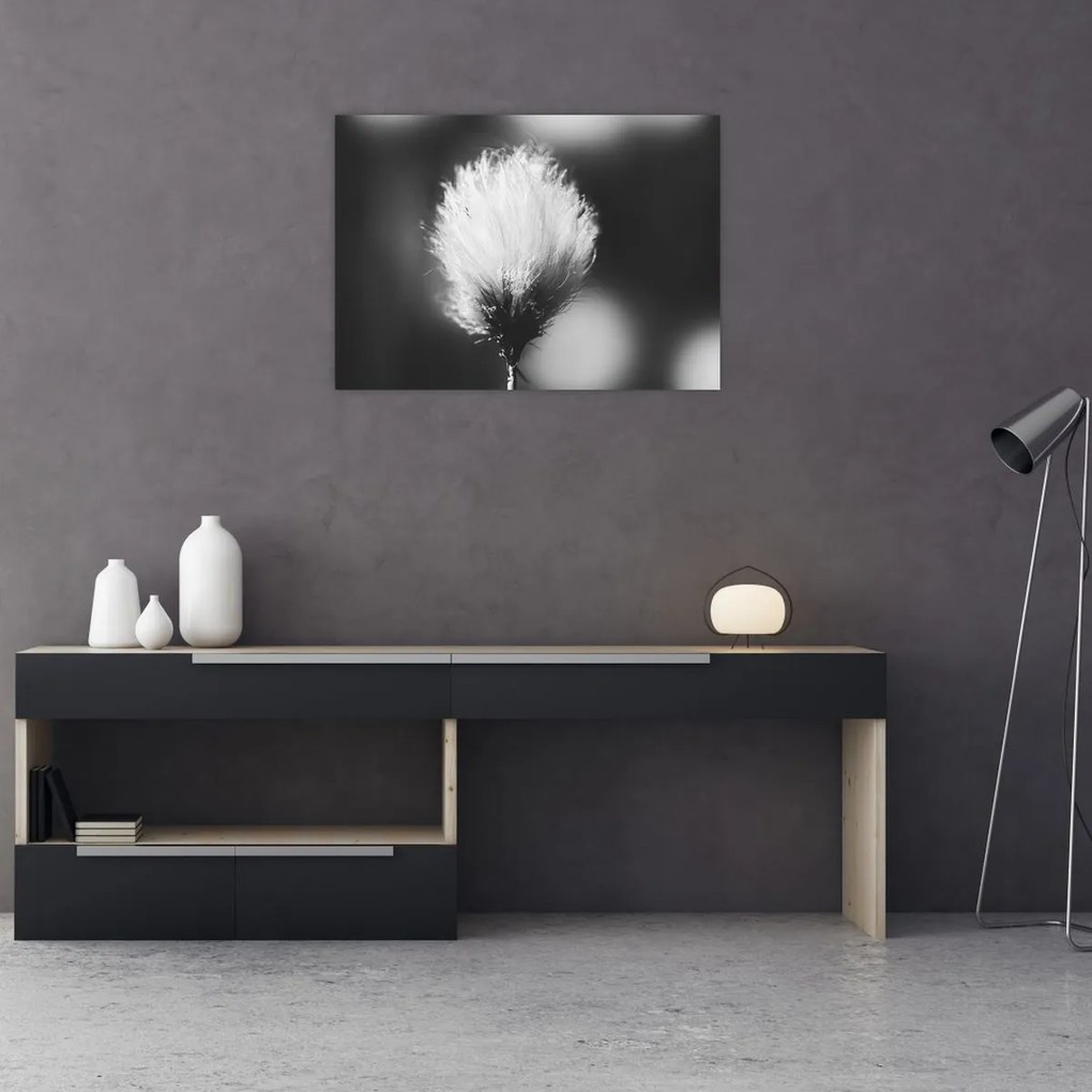 Kép - Fekete-fehér pamutfű (70x50 cm)