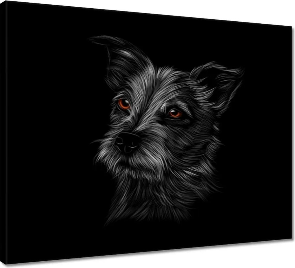 Vászonkép 50x40 Fekete kutyus kutya
