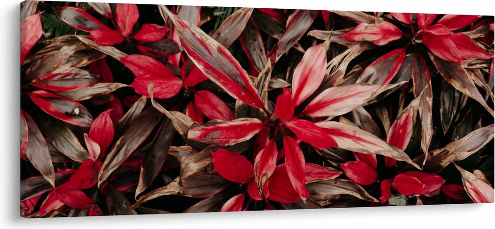 Piros szirmok képe (120x50 cm)