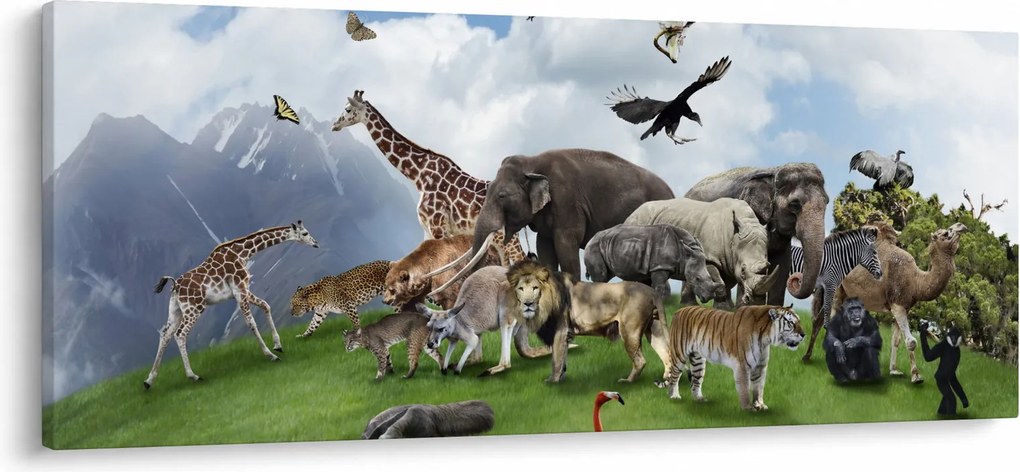 Kép - állatok a szigeten (120x50 cm)