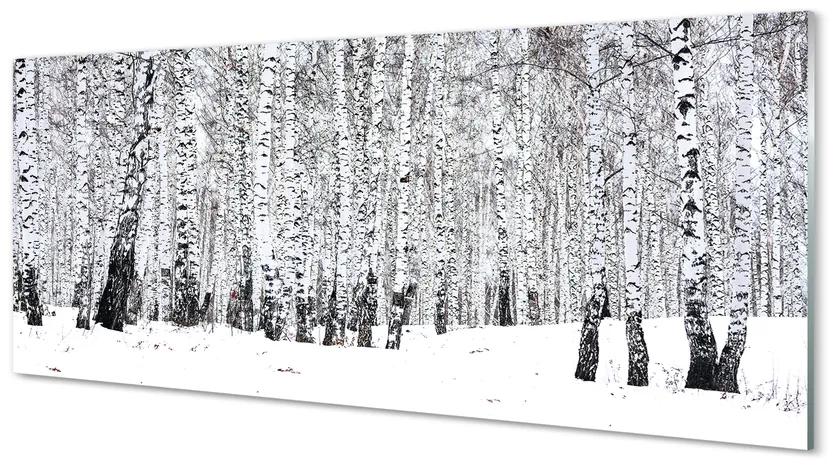 Üvegképek Téli nyírfák 100x50 cm