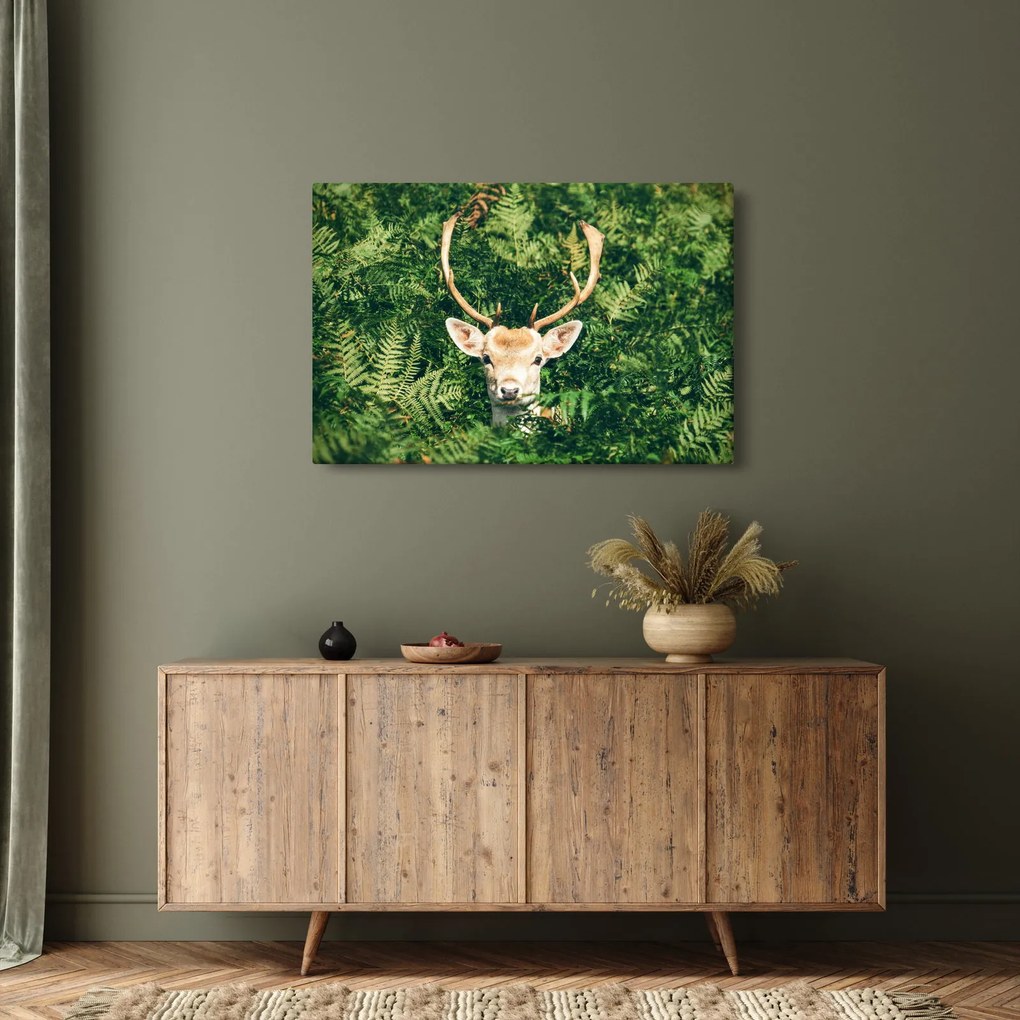 Kép - őz fej részlete (90x60 cm)